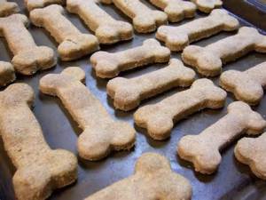 Dog Treats