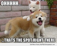 everybody-loves-a-massage