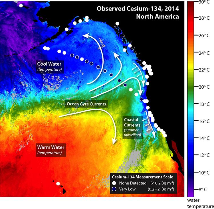 FUKUSHIMA reaches west coast 2016