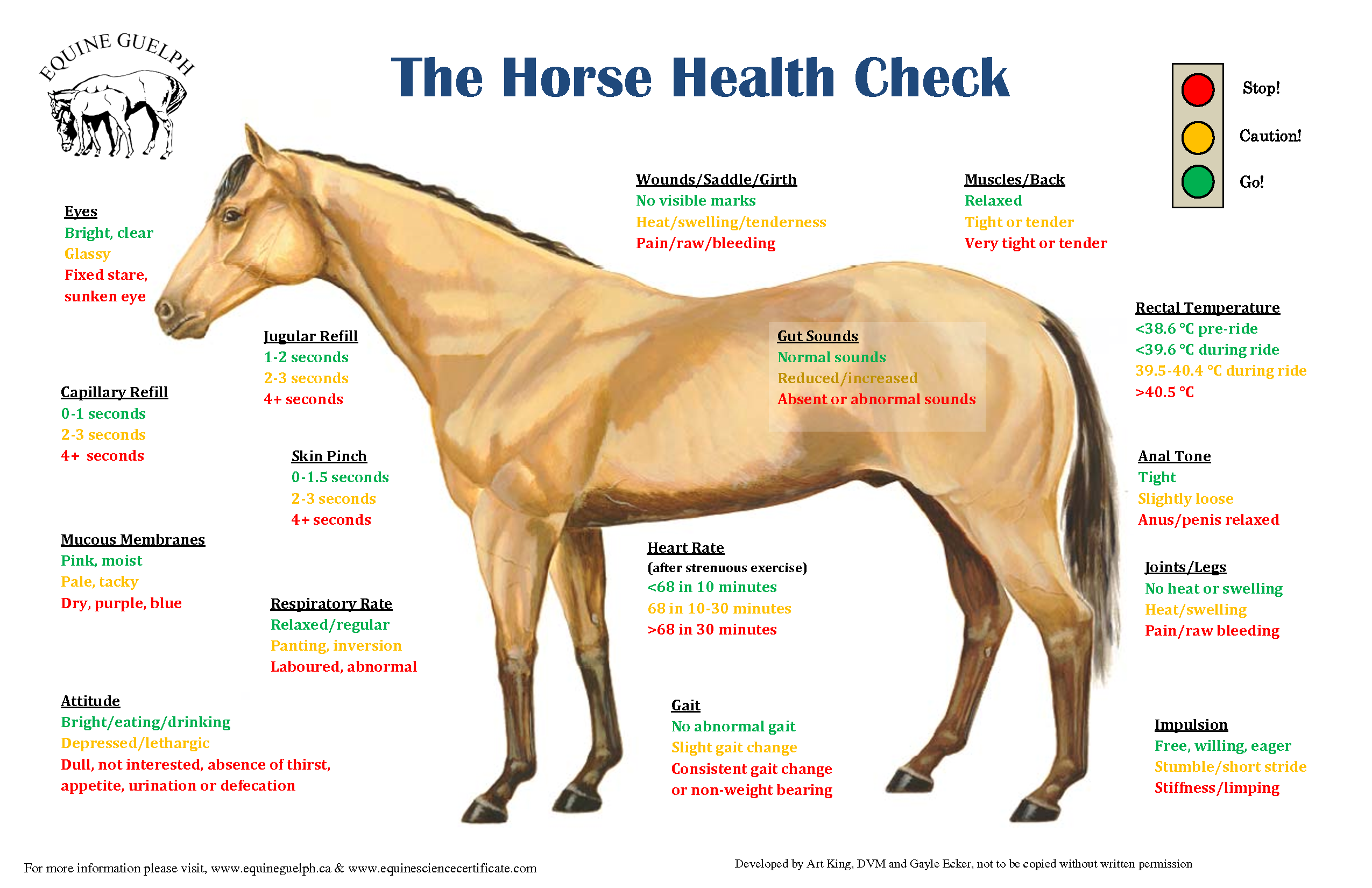horse-chart